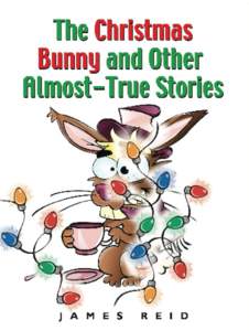 The Christmas Bunny and Other Almost-True Stories