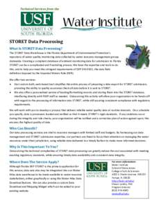 Technical Services from the  STORET Data Processing What Is STORET Data Processing? The STORET Data Warehouse is the Florida Department of Environmental Protection’s repository of water quality monitoring data collecte
