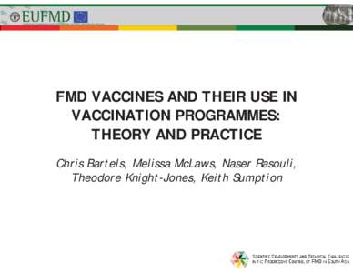 FMD vaccines and their use in vaccination programmes: theory and practice