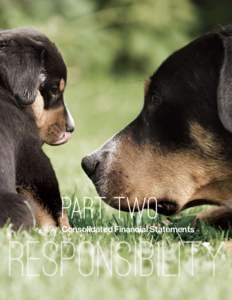 two young poeple runnig on the beach kissing and holding tight with dog