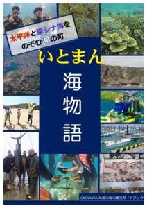 OKINAWA 糸満の海の観光ガイドブック  那覇空港 糸満市とは 糸満市は沖縄本島の最南端に位置し、那覇空港か