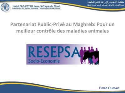 Partenariat Public-Privé au Maghreb: Pour un meilleur contrôle des maladies animales Rania Oueslati  PRESENTATION