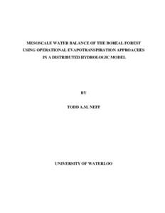 Microsoft Word - neff_thesis.DOC