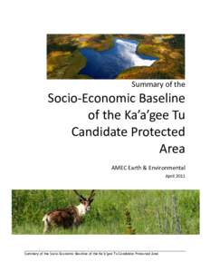Summary of the  Socio-Economic Baseline of the Ka’a’gee Tu Candidate Protected Area