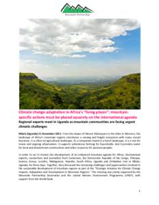 Climate change adaptation in Africa’s “living places”: mountain-specific actions must be placed squarely on the international agenda