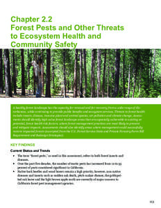 Systems ecology / Curculionidae / Woodboring beetles / Ecological restoration / Sudden oak death / Invasive species / Forest / Bark beetle / Pine pitch canker / Biology / Tree diseases / Environment