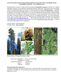 Phytophthora / Klamath Mountains / Biology / Fir / Botany / Abies magnifica / Tree diseases / Flora of the United States / Sudden oak death