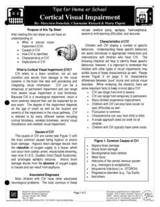 Anatomy / Cortical visual impairment / Visual impairment / Brain / CVI / Cortical blindness / Eye movement / Nystagmus / Eye examination / Vision / Blindness / Ophthalmology