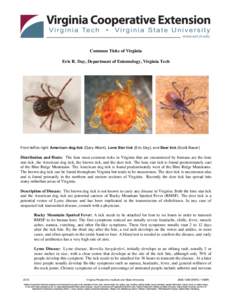 Bacteria / Biology / Bacterial diseases / Zoonoses / Dog health / Ixodes scapularis / Lyme disease / Rocky Mountain spotted fever / Tick / Tick-borne diseases / Microbiology / Ticks