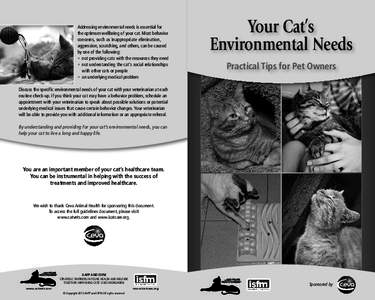 Addressing environmental needs is essential for the optimum wellbeing of your cat. Most behavior concerns, such as inappropriate elimination, aggression, scratching, and others, can be caused by one of the following: •