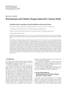 Hemodynamic and Tubular Changes Induced by Contrast Media