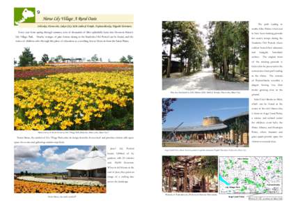 ９  Harue Lily Village: A Rural Oasis The path leading to  Ishizuka, Harue-cho, Sakai City; Kibe Saiho-ji Temple, Fujiwashizuka, Higashi Taromaru