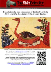 Description of a new subspecies of Ostrich from Syria