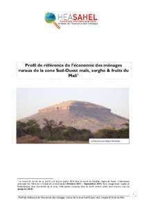 HEA de la Zone Sylvo-Pa  Profil de référence de l’économie des ménages ruraux de la zone Sud-Ouest maïs, sorgho & fruits du Mali1
