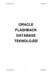 Flashback Database  24.Ekim.2008