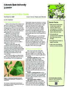 Insect and Mite Galls Fact Sheet No.	[removed]Insect Series|Trees and Shrubs  by W.S. Cranshaw*