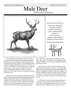 Utah Division of Wildlife Resources  Wildlife Notebook Series No. 13 Mule Deer