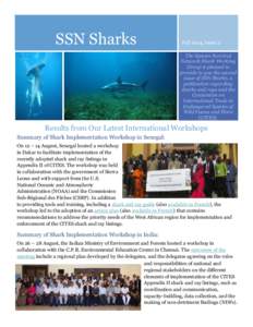 SSN Sharks  Fall 2014, Issue 2 Dean Grubbs