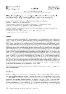 Molecular, morphological and osteological differentiation of a new species of microhylid frog of the genus Stumpffia from northwestern Madagascar