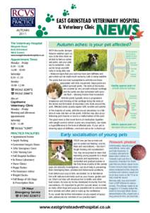 EAST GRINSTEAD VETERINARY HOSPITAL & Veterinary Clinic NEWS  AUTUMN