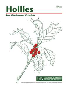 Hollies for the Home Garden - MP310