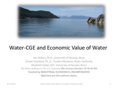 Water-CGE and Economic Value of Water