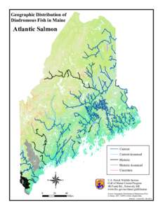 Geographic Distribution of Diadromous Fish in Maine Atlantic Salmon  Current
