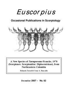 Euscorpius Occasional Publications in Scorpiology