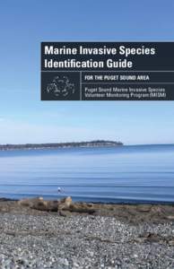 Marine Invasive Species Identification Guide For the puget sound area Puget Sound Marine Invasive Species Volunteer Monitoring Program (MISM)