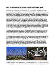 Microsoft Word - Lake Torrens turns on an exciting Banded Stilt breeding event_Prv3-3.doc