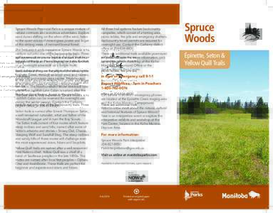 Geography of Canada / Geography of Manitoba / Spruce Woods Provincial Park / Trail