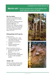 Tasmanian forest soil fact sheet no. 28  Machin soil – texture-contrast soil in mixed dolerite and sand colluvium under dry forest  Site description