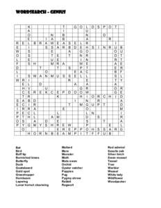 Wordsearch – Genius K A O E R E L B