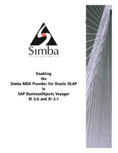 Software / Simba Technologies / Business Objects / Microsoft Analysis Services / OLE DB provider / Oracle Database / Oracle Corporation / OLE DB for OLAP / SAP AG / Online analytical processing / Computing / Information technology management