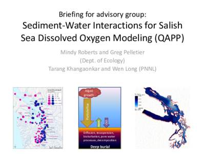 Briefing for advisory group:  Sediment-Water Interactions for Salish Sea Dissolved Oxygen Modeling (QAPP) Mindy Roberts and Greg Pelletier (Dept. of Ecology)