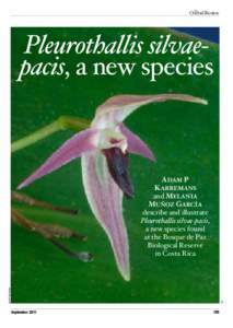 The  Orchid Review Pleurothallis silvaepacis, a new species