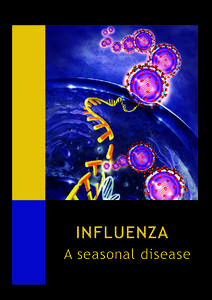 INFLUENZA A seasonal disease 2  INFLUENZA