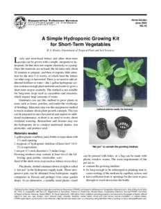 A simple hydroponic growing kit for short-term vegetables