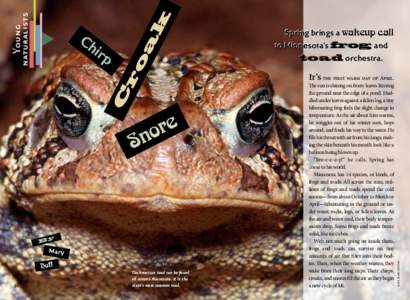 frog&toadcallingsurvey