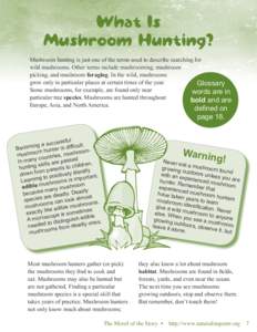 What Is Mushroom Hunting? Mushroom hunting is just one of the terms used to describe searching for wild mushrooms. Other terms include mushrooming, mushroom picking, and mushroom foraging. In the wild, mushrooms grow onl