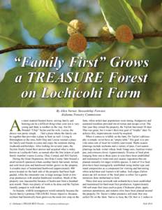 “Family First” Grows a TREASURE Forest on Lochicohi Farm A