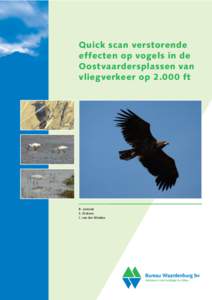 Quick scan verstorende effecten op vogels in de Oostvaardersplassen van vliegverkeer opft  R. Lensink