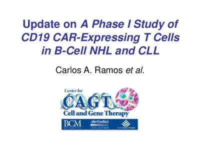 Update on A Phase I Study of CD19 CAR-Expressing T Cells in B-Cell NHL and CLL Carlos A. Ramos et al.  Chimeric Antigen Receptors