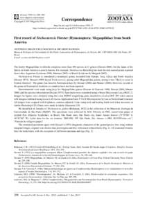 First record of Trichosteresis Förster (Hymenoptera: Megaspilidae) from South America