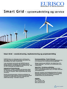 Smart Grid  - systemudvikling og service S m a r t G r i d – s t a n d a r d i s e r i n g, i m p l e m e n t e r i n g o g p r o j e k t u d v i k l i n g