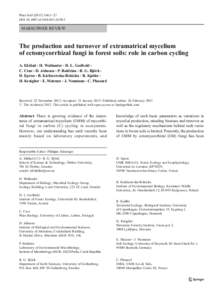 Plant Soil[removed]:1–27 DOI[removed]s11104[removed]MARSCHNER REVIEW  The production and turnover of extramatrical mycelium