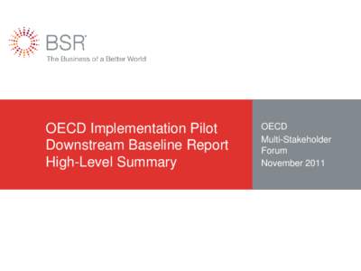 OECD Implementation Pilot Downstream Baseline Report High-Level Summary OECD Multi-Stakeholder