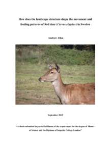 How does the landscape structure shape the movement and feeding patterns of Red deer (Cervus elaphus) in Sweden Andrew Allen  September 2012