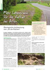 Unterrichtsbaustein Sachinformation S  Mehr Lebensraum