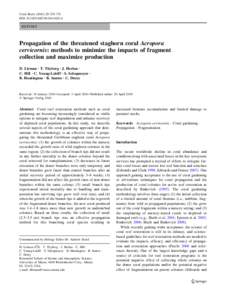 Coral Reefs:729–735 DOIs00338REPORT  Propagation of the threatened staghorn coral Acropora